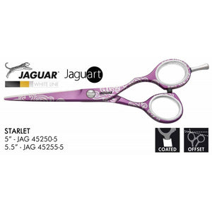Jaguar Starlet Purple & Silver Offset